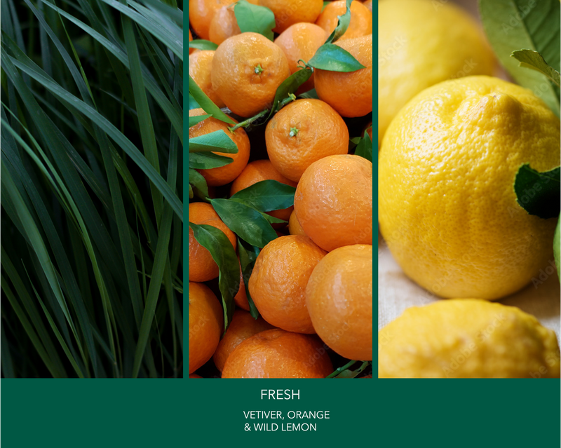 Credence Fresh men's shampoo with vetiver orange and wild lemon scent 300ml"