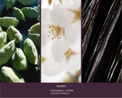 Credence Warm men's shampoo with cardamom jasmine and black vanilla scent 300ml"