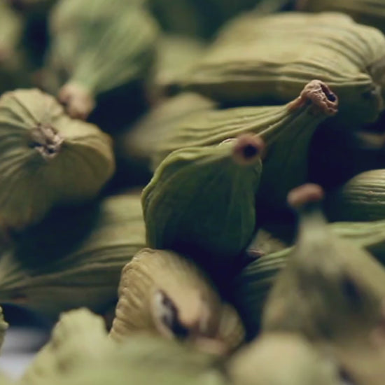 Credence Warm men's shampoo bottle with cardamom jasmine and black vanilla scent 300ml