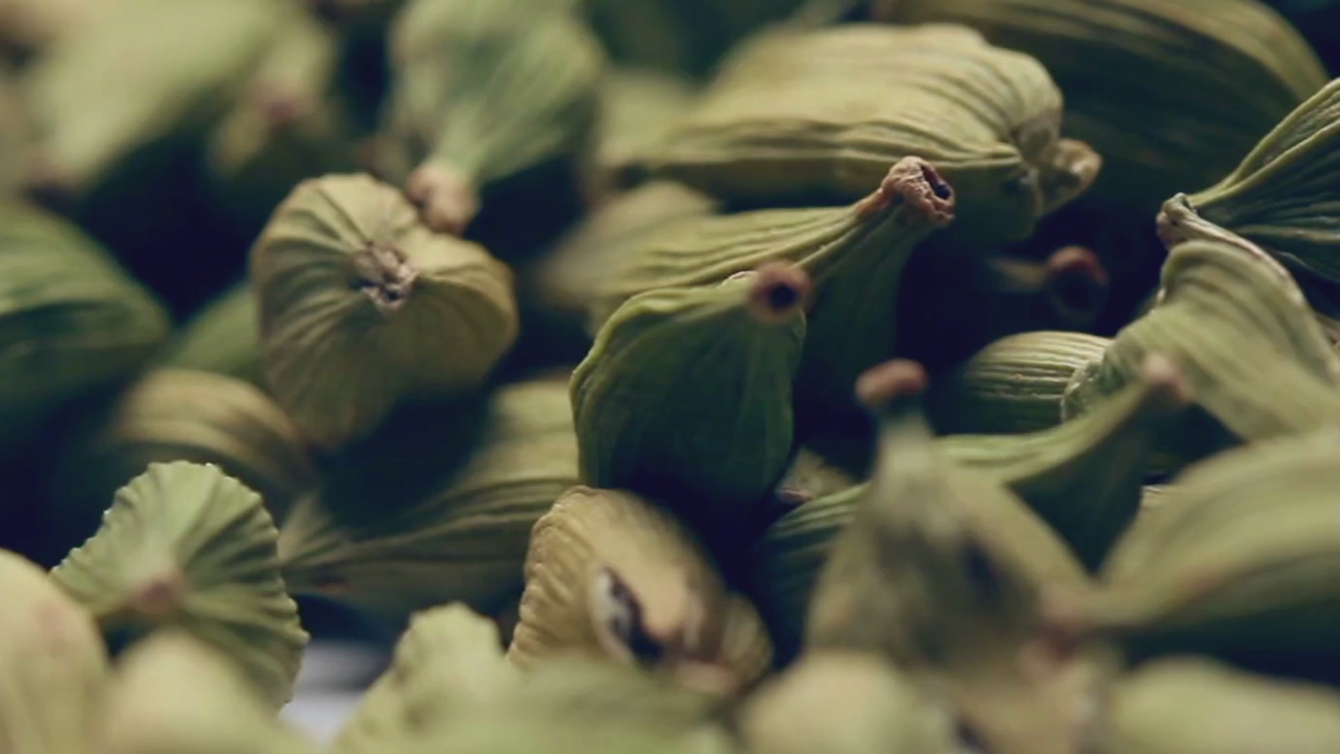 Credence Warm men's shampoo bottle with cardamom jasmine and black vanilla scent 300ml