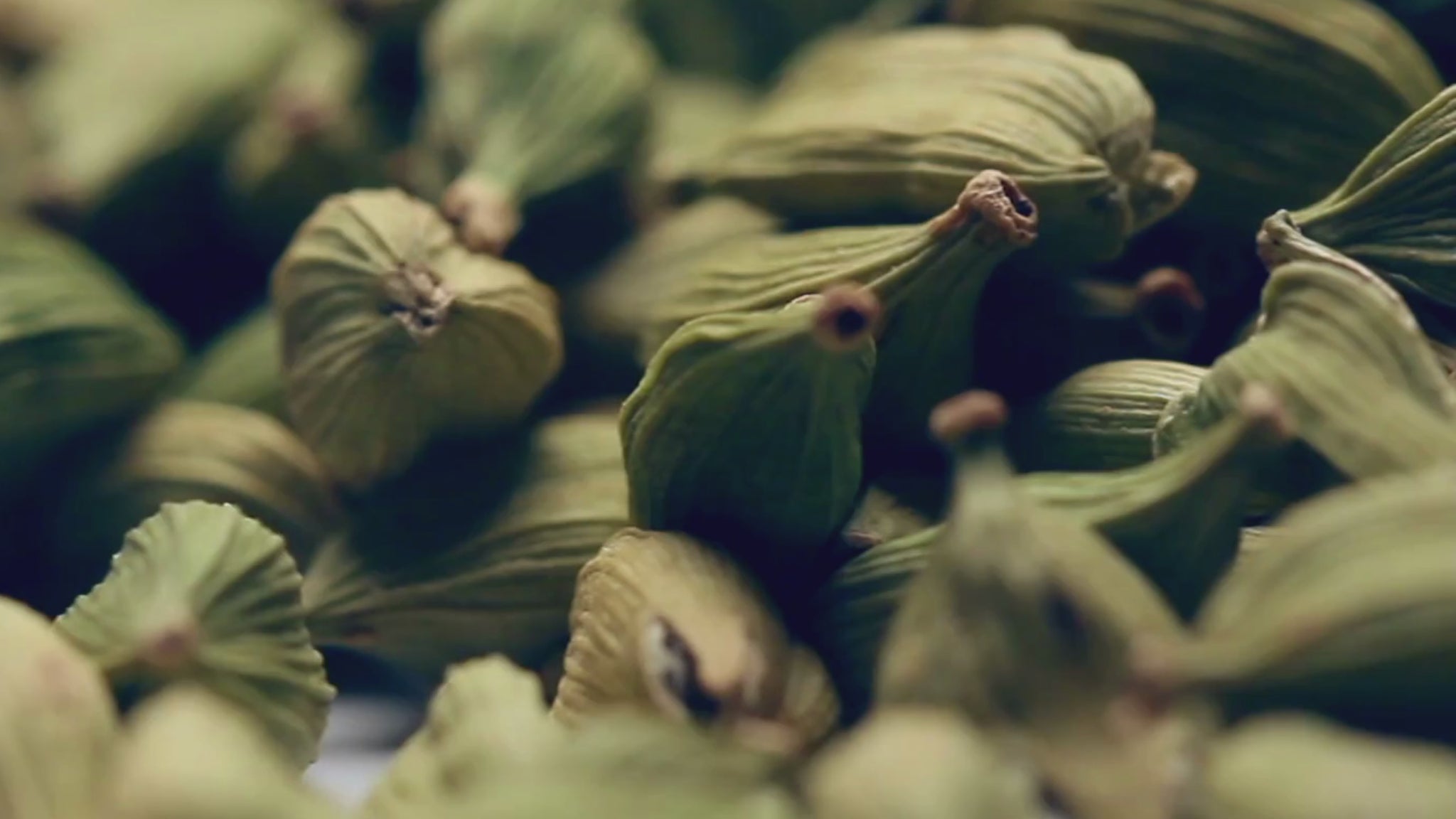 Credence Warm men's shampoo bottle with cardamom jasmine and black vanilla scent 300ml